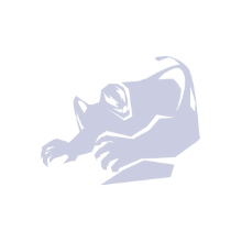 DEFAULT