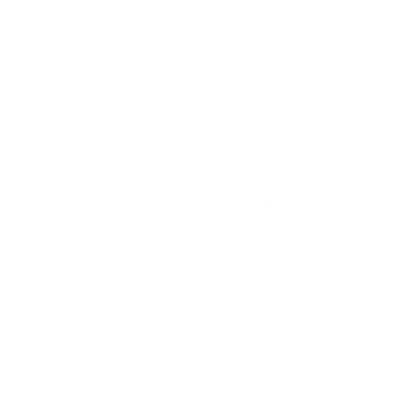 Magneto logo