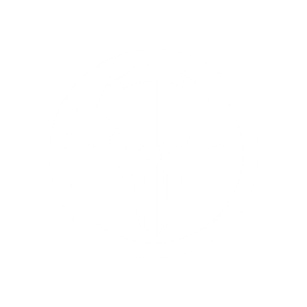 The Punisher logo